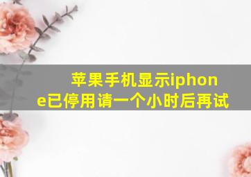 苹果手机显示iphone已停用请一个小时后再试