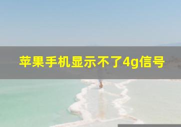 苹果手机显示不了4g信号