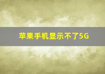 苹果手机显示不了5G