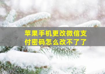 苹果手机更改微信支付密码怎么改不了了