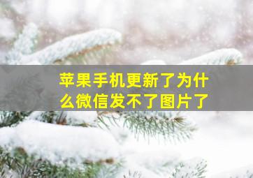 苹果手机更新了为什么微信发不了图片了