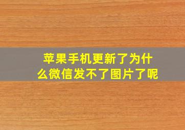 苹果手机更新了为什么微信发不了图片了呢