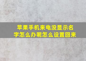 苹果手机来电没显示名字怎么办呢怎么设置回来