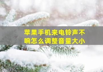 苹果手机来电铃声不响怎么调整音量大小