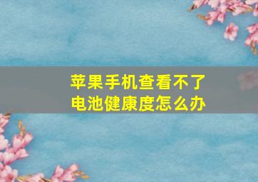 苹果手机查看不了电池健康度怎么办