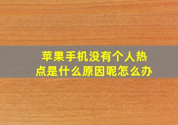 苹果手机没有个人热点是什么原因呢怎么办