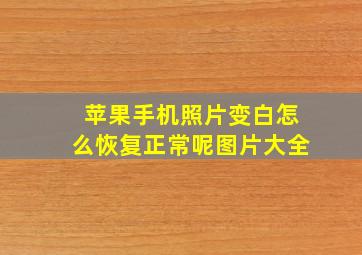 苹果手机照片变白怎么恢复正常呢图片大全