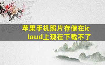 苹果手机照片存储在icloud上现在下载不了