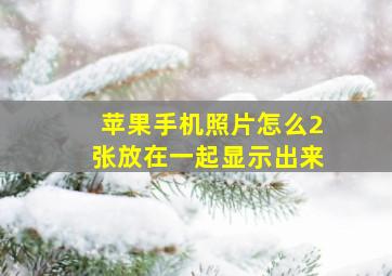 苹果手机照片怎么2张放在一起显示出来