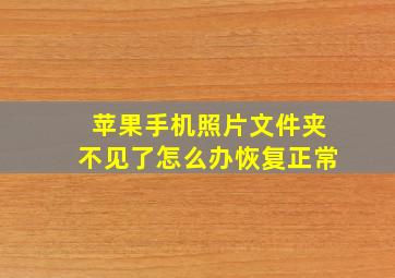 苹果手机照片文件夹不见了怎么办恢复正常