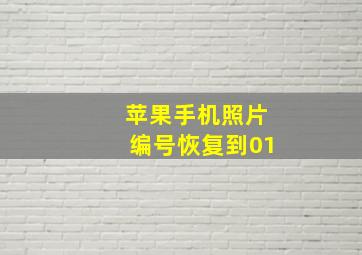 苹果手机照片编号恢复到01