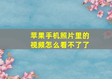 苹果手机照片里的视频怎么看不了了