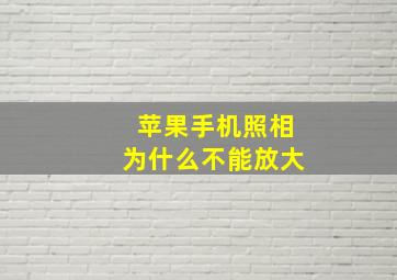 苹果手机照相为什么不能放大