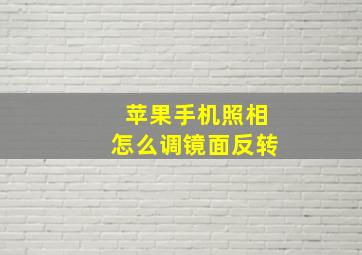 苹果手机照相怎么调镜面反转