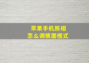 苹果手机照相怎么调镜面模式