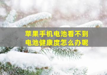 苹果手机电池看不到电池健康度怎么办呢