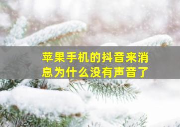 苹果手机的抖音来消息为什么没有声音了