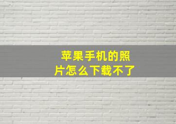 苹果手机的照片怎么下载不了