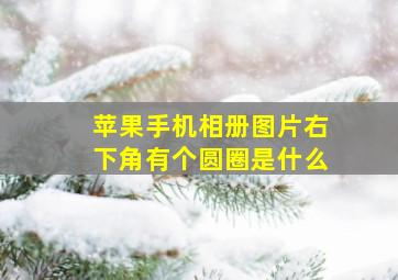 苹果手机相册图片右下角有个圆圈是什么