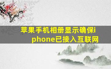 苹果手机相册显示确保iphone已接入互联网