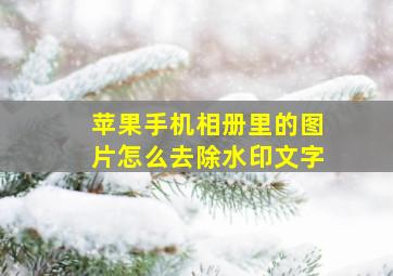 苹果手机相册里的图片怎么去除水印文字