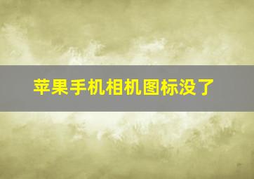 苹果手机相机图标没了