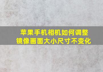 苹果手机相机如何调整镜像画面大小尺寸不变化