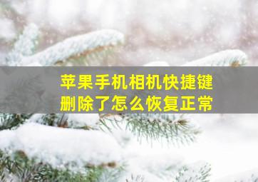 苹果手机相机快捷键删除了怎么恢复正常