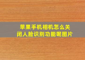 苹果手机相机怎么关闭人脸识别功能呢图片