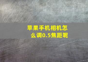 苹果手机相机怎么调0.5焦距呢