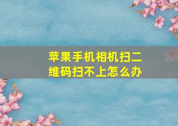 苹果手机相机扫二维码扫不上怎么办