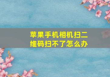 苹果手机相机扫二维码扫不了怎么办