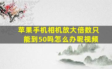 苹果手机相机放大倍数只能到50吗怎么办呢视频