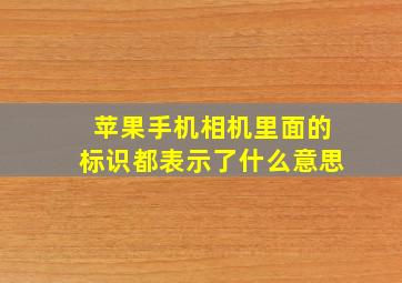 苹果手机相机里面的标识都表示了什么意思