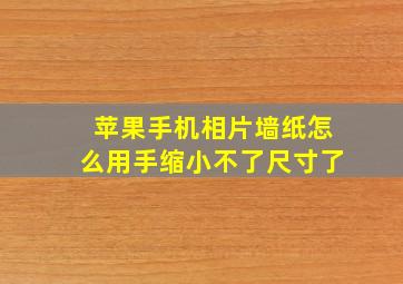 苹果手机相片墙纸怎么用手缩小不了尺寸了