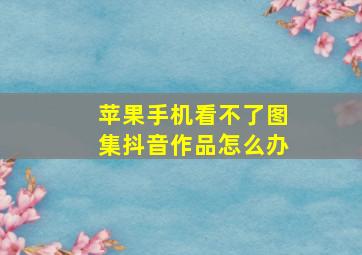 苹果手机看不了图集抖音作品怎么办