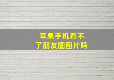 苹果手机看不了朋友圈图片吗