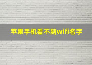 苹果手机看不到wifi名字