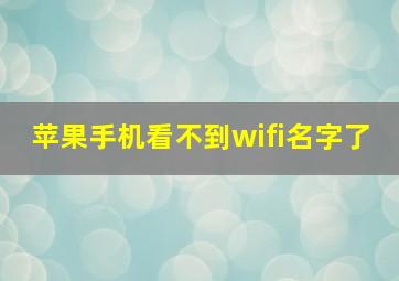 苹果手机看不到wifi名字了