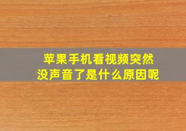 苹果手机看视频突然没声音了是什么原因呢