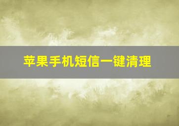 苹果手机短信一键清理