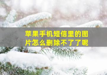 苹果手机短信里的图片怎么删除不了了呢