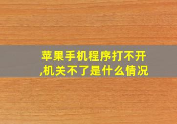 苹果手机程序打不开,机关不了是什么情况