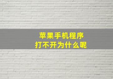 苹果手机程序打不开为什么呢