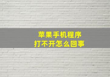 苹果手机程序打不开怎么回事