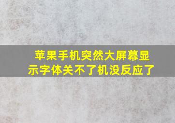 苹果手机突然大屏幕显示字体关不了机没反应了