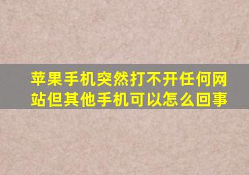 苹果手机突然打不开任何网站但其他手机可以怎么回事