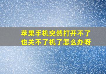 苹果手机突然打开不了也关不了机了怎么办呀