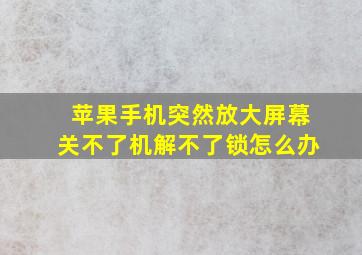 苹果手机突然放大屏幕关不了机解不了锁怎么办