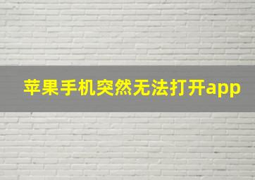 苹果手机突然无法打开app